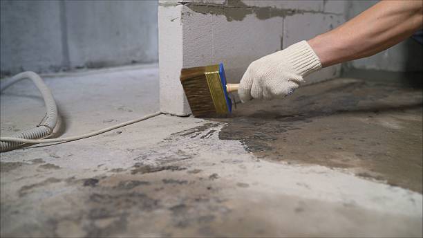 SJ Waterproofing Pros Waterproofing coverage map for Duluth, WA and surrounding area